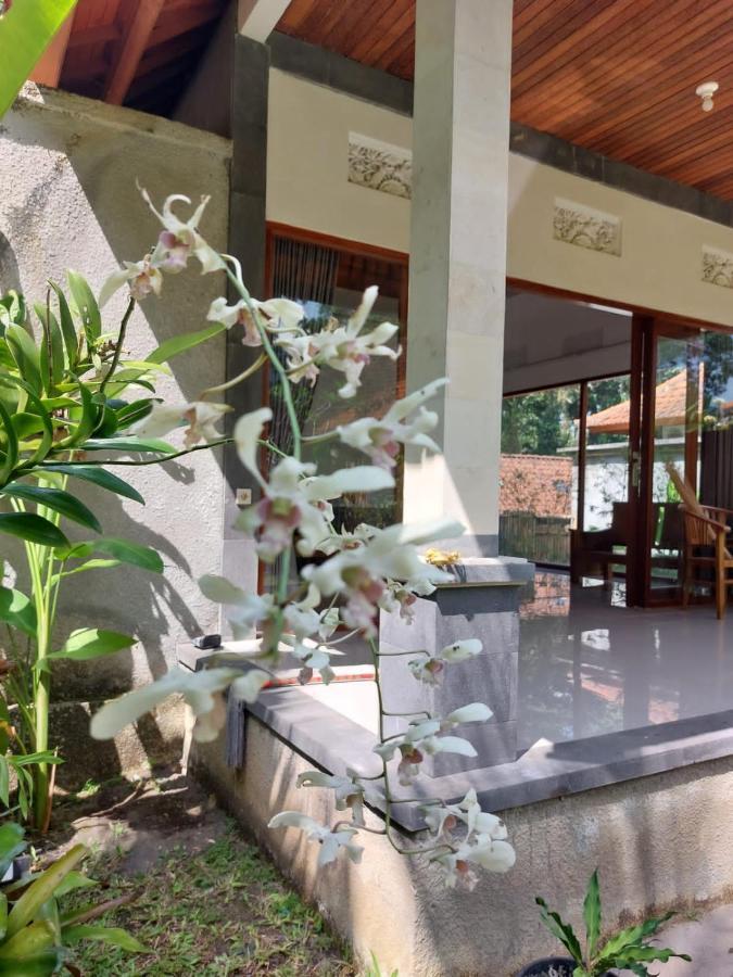 Pondok Kukuh Villa Sidemen Sidemen  Esterno foto